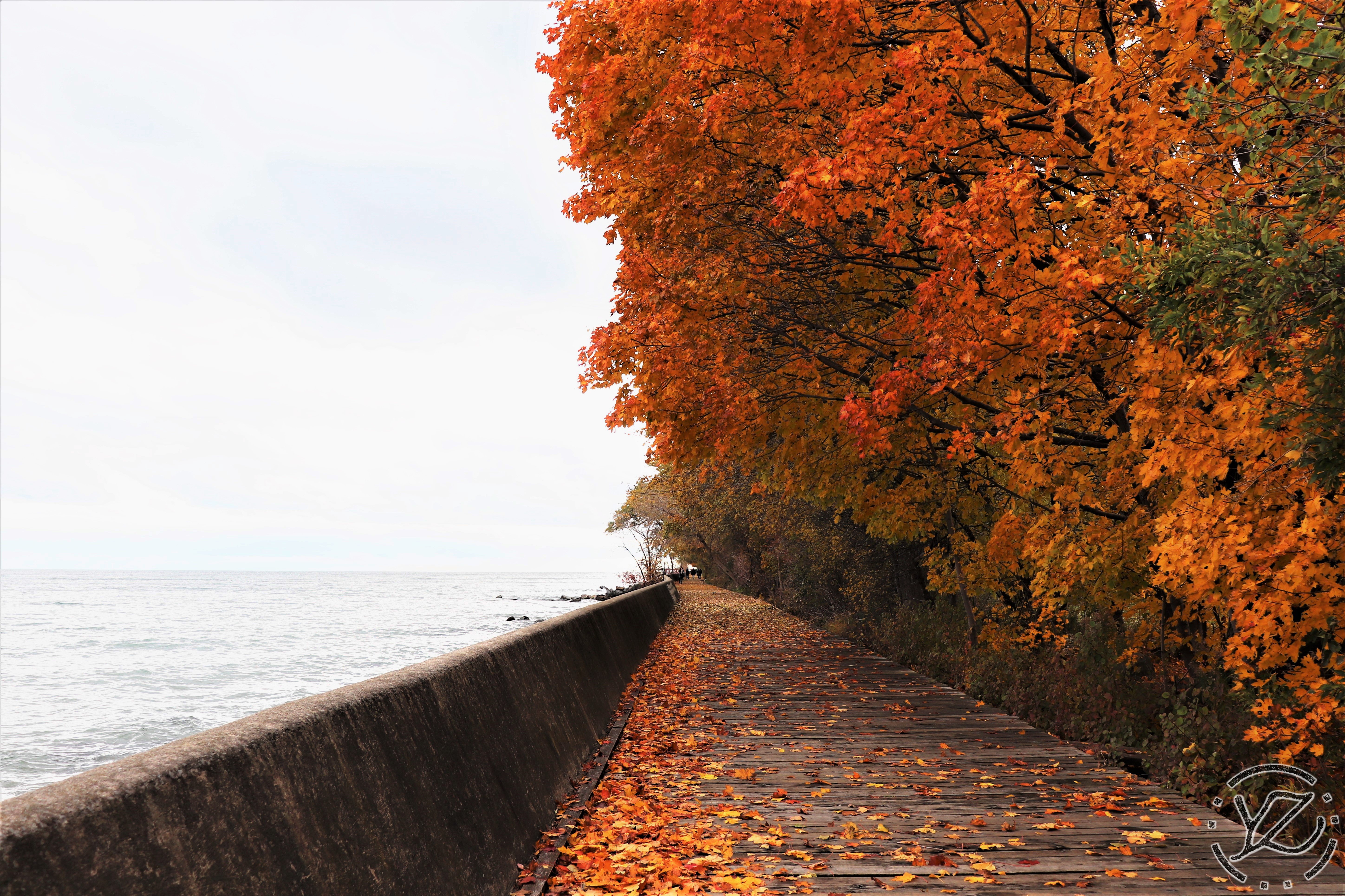 Toronto Centre Island